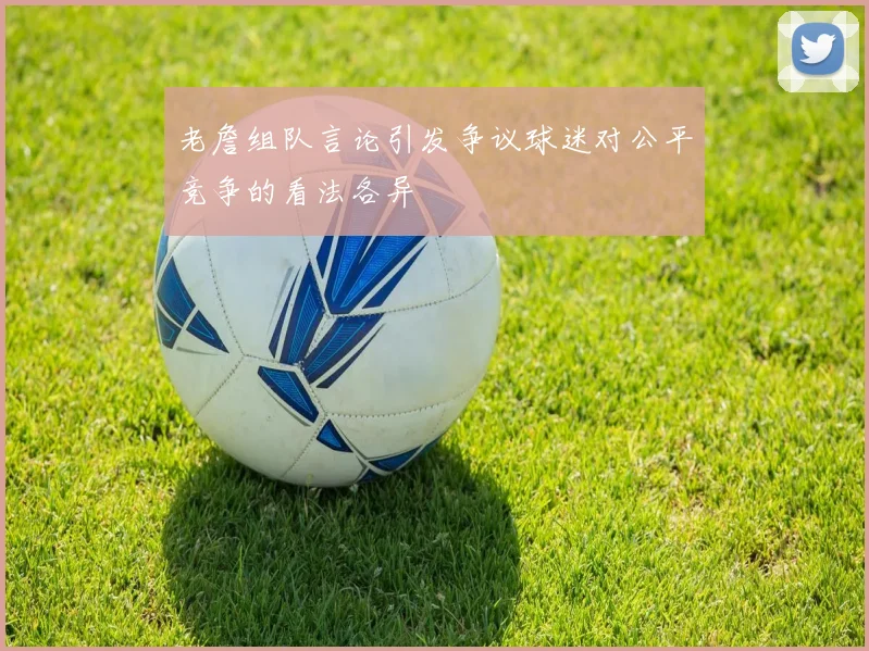老詹组队言论引发争议球迷对公平竞争的看法各异