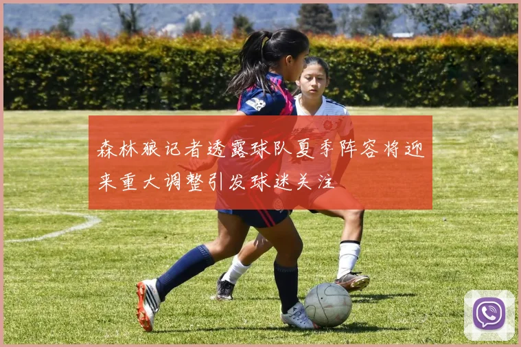 森林狼记者透露球队夏季阵容将迎来重大调整引发球迷关注